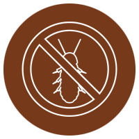 Subterranean Termites 