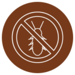 Subterranean Termites