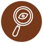 Targeted/Limited Inspection
