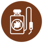 Drywood Termites