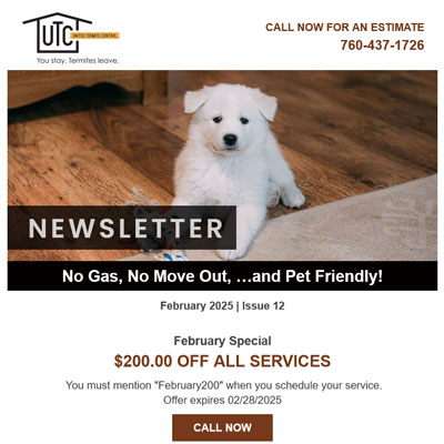 Feb 2025 Newsletter