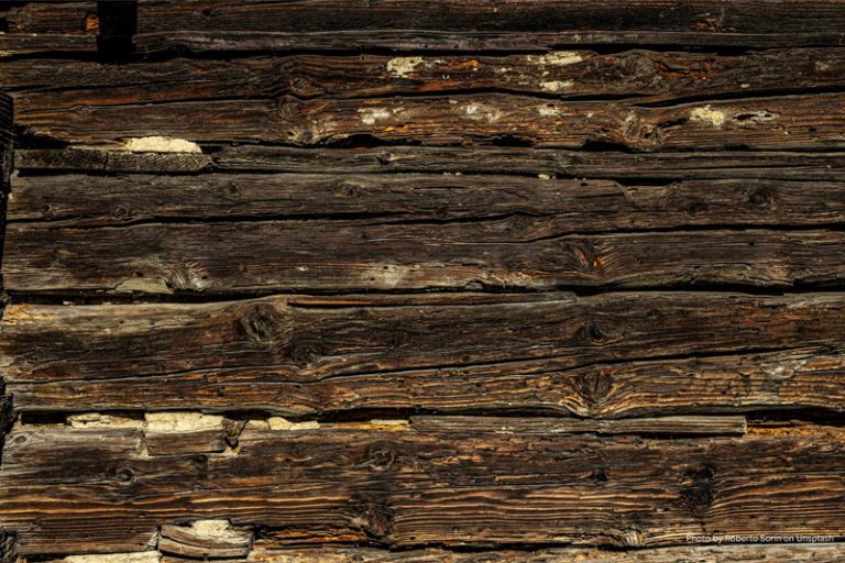 termite infestation, termite damage, risks of untreated termites, consequences of delaying pest control, termite treatment urgency