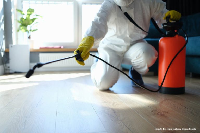 eco-friendly termite control, safe termite solutions, pet-safe pest management, non-toxic termite treatment, convenient termite extermination