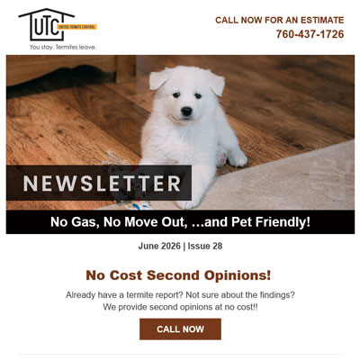 Jun 2026 Newsletter